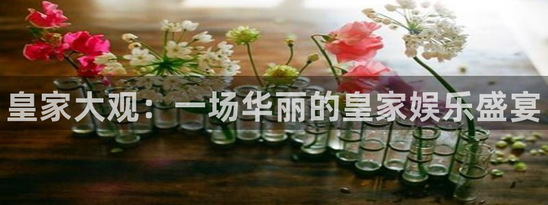 one游戏皇马官网