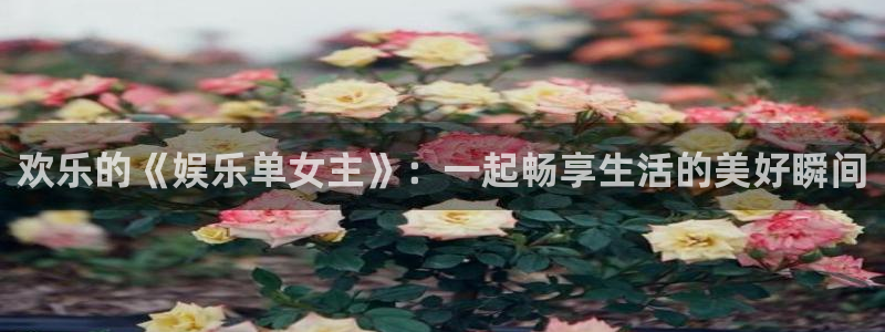 one游戏：欢乐的《娱乐单女主》：一起畅享生活的美好瞬间