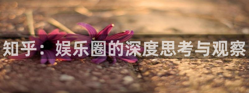 one游戏官网：知乎：娱乐圈的深度思考与观察