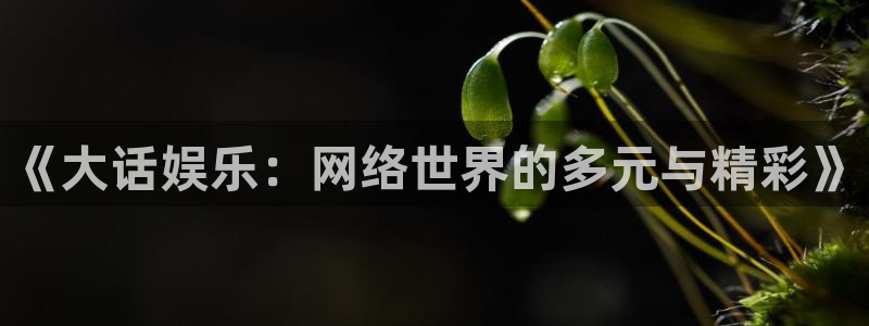 one游戏网站：《大话娱乐：网络世界的多元与精彩》