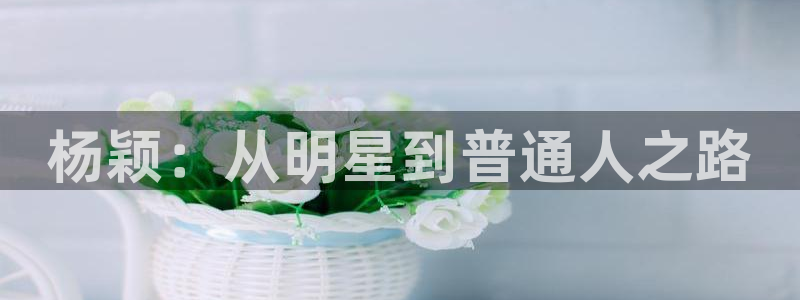 one游戏体育平台：杨颖：从明星到普通人之路