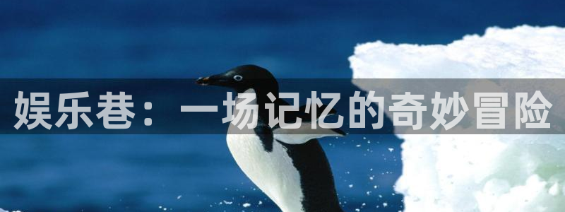one游戏平台官网入口：娱乐巷：一场记忆的奇妙冒险