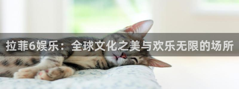 one游戏网站：拉菲6娱乐：全球文化之美与欢乐无限的场所