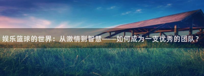 one游戏体育平台：娱乐篮球的世界：从激情到智慧——如何成为一支优秀的团队？