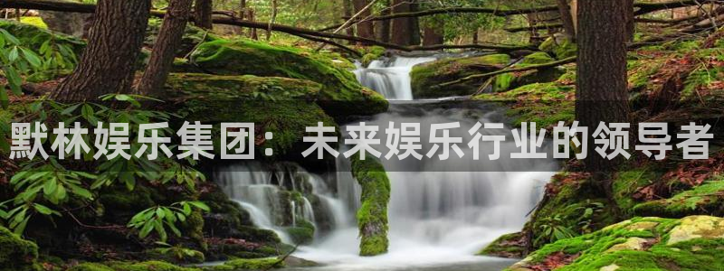 one游戏皇马官网：默林娱乐集团：未来娱乐行业的领导者