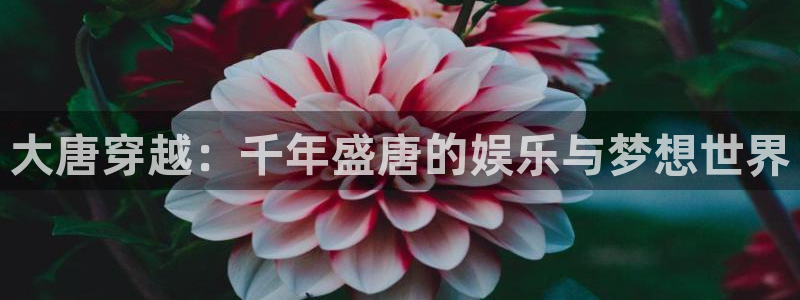 one游戏体育平台：大唐穿越：千年盛唐的娱乐与梦想世界