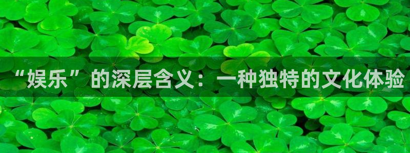 one游戏平台官网入口：“娱乐”的深层含义：一种独特的文化体验