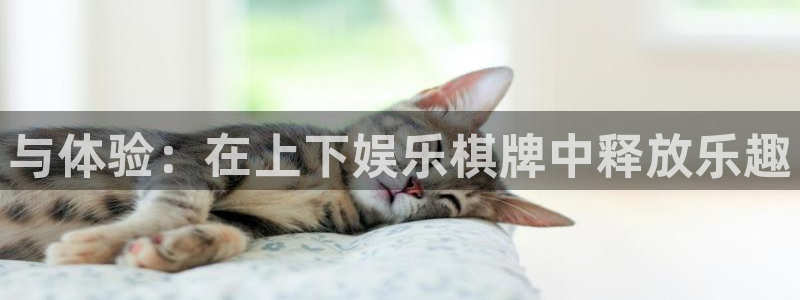 one游戏网站：与体验：在上下娱乐棋牌中释放乐趣