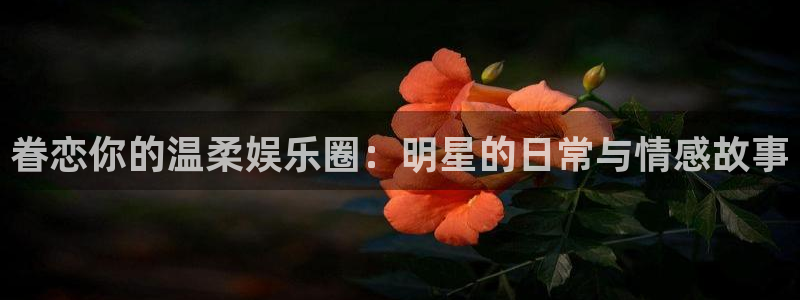one游戏平台官网入口：眷恋你的温柔娱乐圈：明星的日常与情感故事